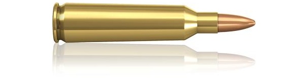 Padr.Norma 22-250Rem FMJ 3,6g