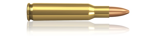 Padr.Norma 222 Rem FMJ 3,6g