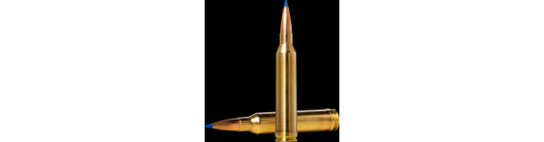 Padr.Norma 6,5X55 BONDSTRIKE 9,27g