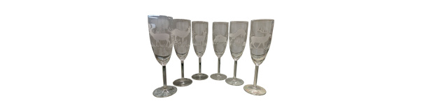 Sampuse klaasid Jägerglas 6tk