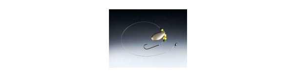 Balzer Lestarakendus blade1lips nr1