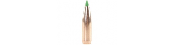 Kuul Nosler 30cal BallisticTipSpitz11,7g