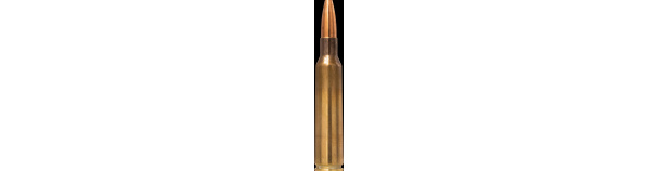 Padr.Norma 6,5x55 R&T FMJ 8g