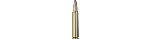Padr.RWS 223Rem SP 3,6g