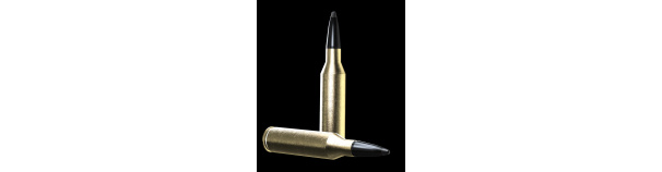 Padr.Norma 308 win ODIN 10,5g