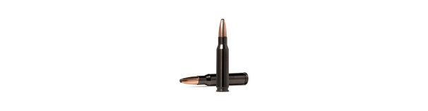Padr.Norma 308 Win Oryx SILENCER 10,7g