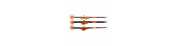 Ammunool Ravin Carbon CP400