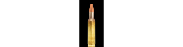 Padr.Lapua 223 Rem NATURALIS 3,2g