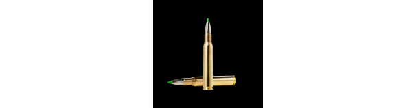 Padr.Norma 30-06 ECOSTRIKE V2 9,7g