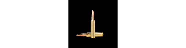 Padr.Norma 6,5*55 FMJ 8g