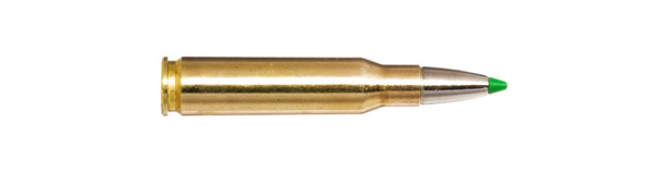 Padr.Norma 308w ECOSTRIKE 10,7g