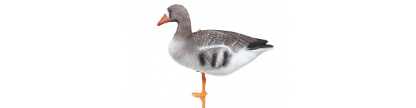 Peibutuskuju Remington Hani