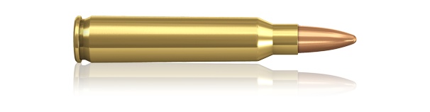 Padr.Norma 223 Rem FMJ 3,6g