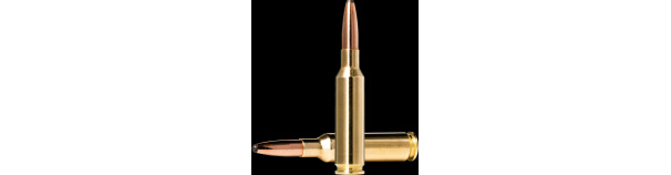 Padr.Norma 6,5*55 WHITETAIL 10,1g