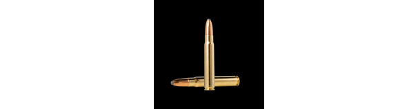Padr.Norma 9,3*62 WHITETAIL 18,5g