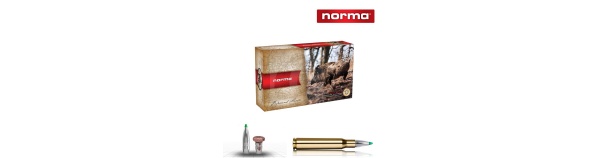 Padr.Norma 308 win ECOSTRIKE 9,7g