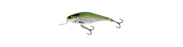 Lant Salmo Executor 9 14,5g