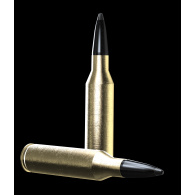 Padr.Norma 30-06 ODIN 11,7g