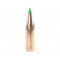 Kuul Nosler 30cal BallisticTipSpitz11,7g