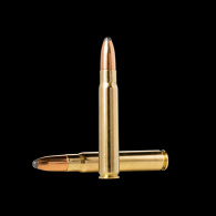 Padr.Norma 9,3*62 WHITETAIL 18,5g