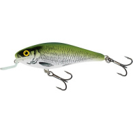 Lant Salmo Executor 9 14,5g
