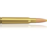 Padr.Norma 30-06 PPDC 11,7g